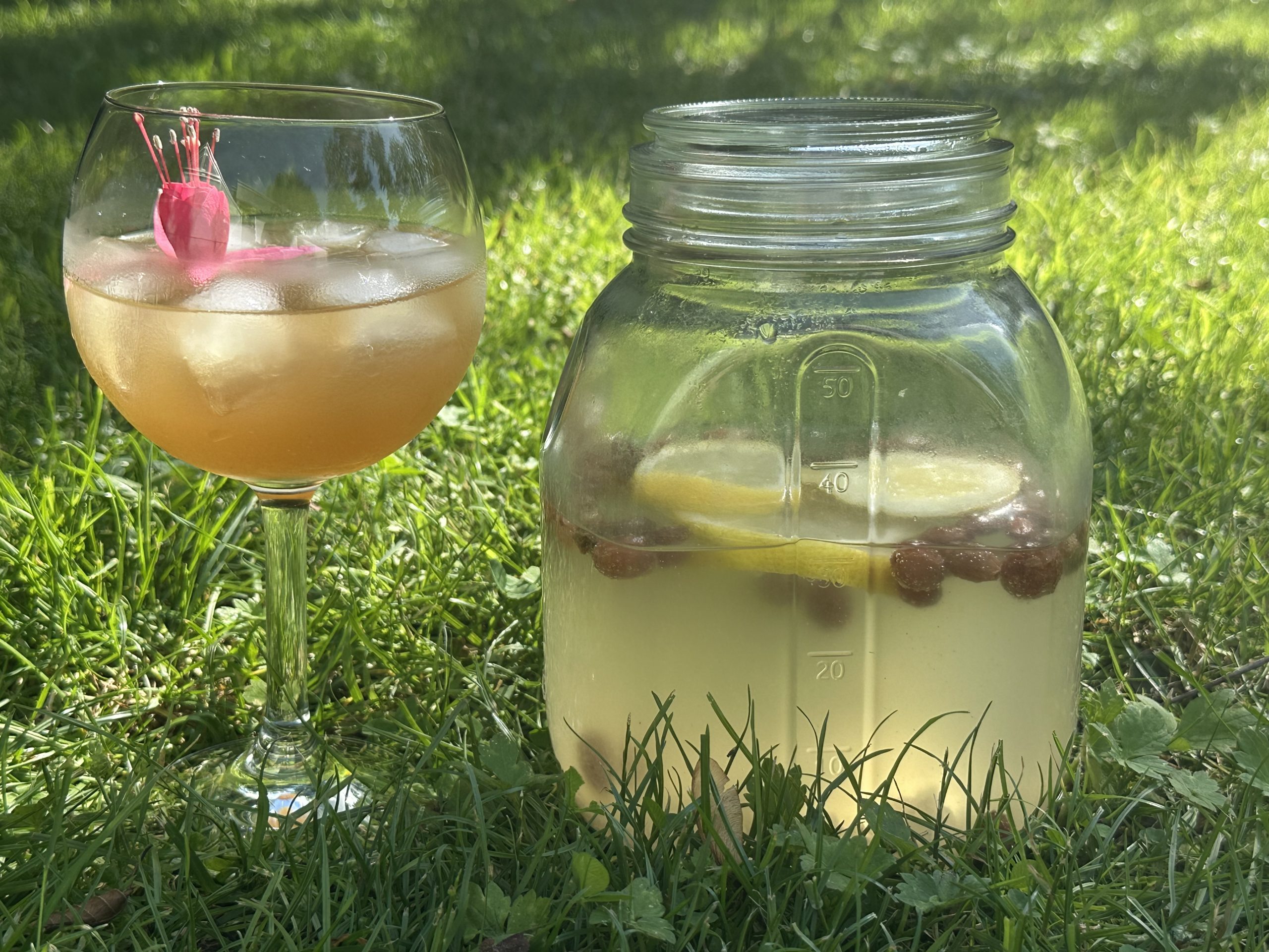 You are currently viewing Waterkefir